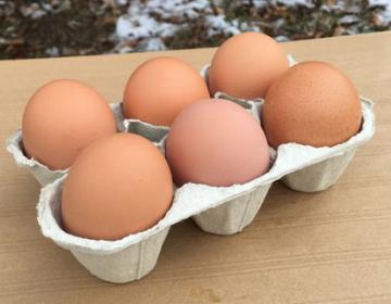 Œufs de poules élevées en plein air (vendus par 6)