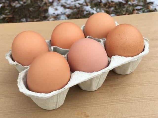 Œufs de poules élevées en plein air (vendus par 6)