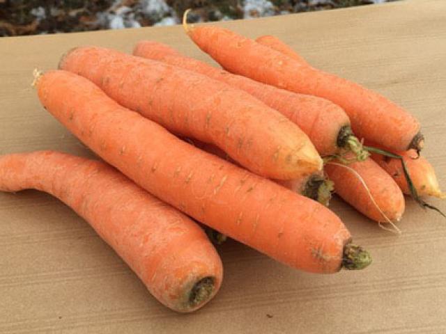 Carottes