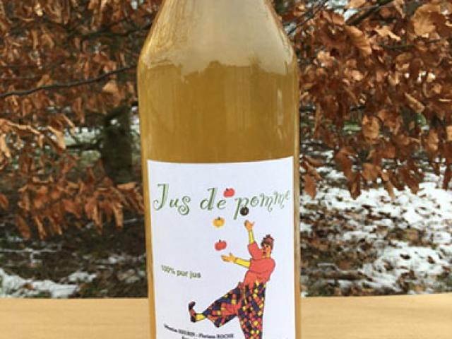 Jus de pomme 100% pur jus 1L