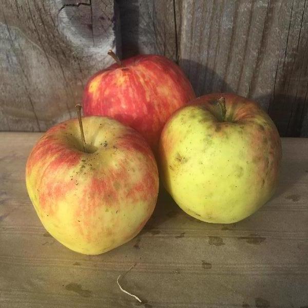 Pommes Jonagold 1kg 