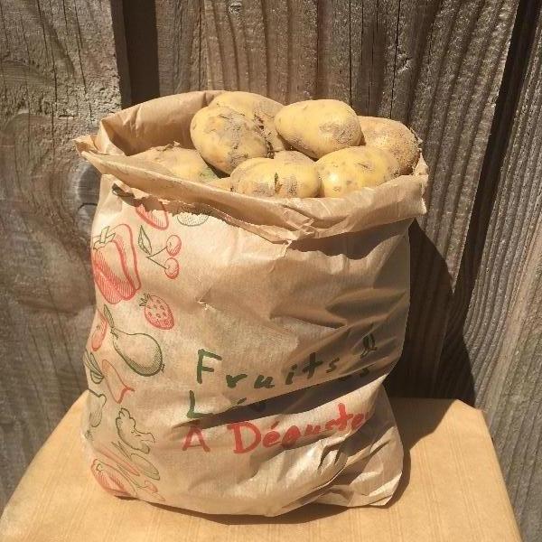 OFFRE Pommes de terre nouvelles Charlotte 2kg