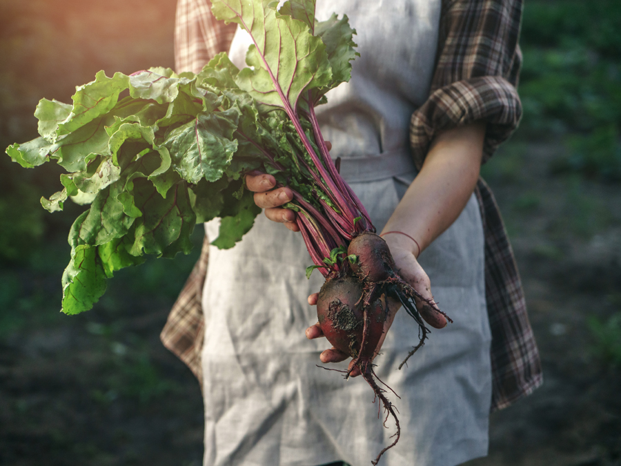 légumes frais